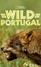 Wild Portugal hd izle