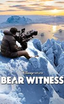 Bear Witness