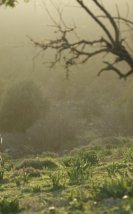 33. Ankara Film Festivali Biletleri Yarın Satışa Çıkıyor!