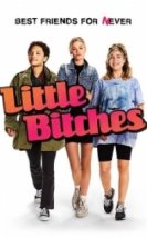 Küçük Tilkiler Little Bitches