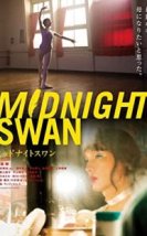 Midnight Swan