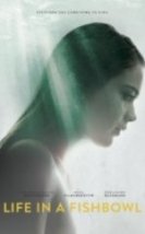 Akvaryumda Yasamak Life In A Fishbowl