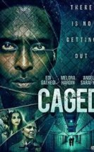Caged