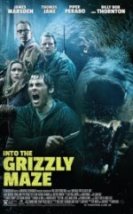 Grizzly Into the Grizzly Maze
