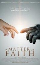 İnanç Meselesi A Matter of Faith