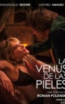 Kürklü Venüs Venus in Fur