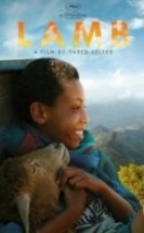 Kuzu Lamb