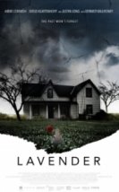 Lavanta Lavender