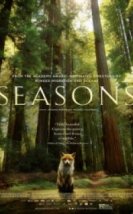 Mevsimler Seasons Les Saisons