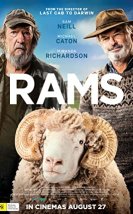 Rams