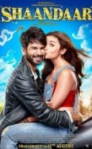 Shaandaar