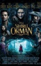 Sihirli Orman Into the Woods