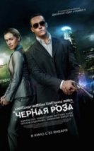Siyah Gül Black Rose