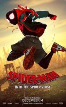 SpiderMan Into the SpiderVerse