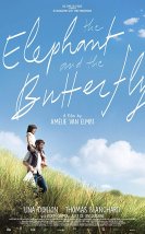 The Elephant and the Butterfly