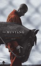 The Mustang