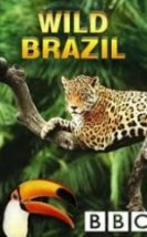 Vahşi Brezilya Wild Brazil