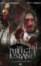 Yalanlar İçinde The Perfect Husband