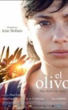 Zeytin Ağacı El olivo