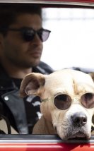 “Dikkat Köpek Var” Sinemalarda!