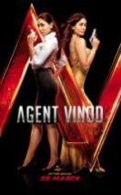 Agent Vinod