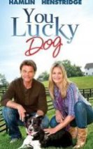 Aile Toplantisi You Lucky Dog