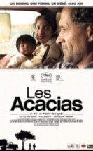 Akasyalar Las acacias