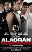 Akrebin Aşkı Alacran enamorado