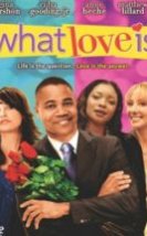 Aşk Dediğin Nedir? What Love Is