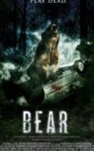 Ayı Bear