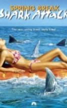 Bahar Tatilinde Dehşet Spring Break Shark Attack