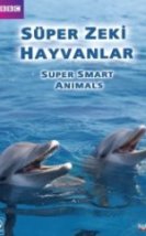 BBC Süper Zeki Hayvanlar Super Smart Animals