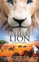 Beyaz Aslan White Lion