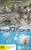 Büyük Göçler Great Migrations 123 Bölüm