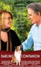 Can Yoldaşım Darling Companion