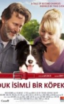 Duk İsimli Bir Köpek Duke