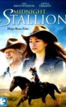 Geceyarısı Aygırı Midnight Stallion