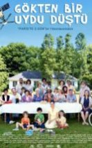 Gökten Bir Uydu Düştü Le Skylab