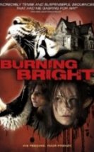 Kaplan Kapanı Burning Bright