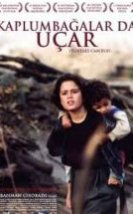 Kaplumbağalar Da Uçar Turtles Can Fly