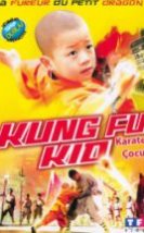 Karateci Çocuk & Kanfû kun