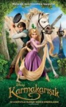 Karmakarışık Tangled