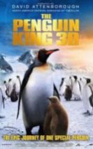 Kral Penguen The Penguin King