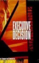 Kritik Karar & Executive Decision