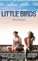 Küçük Kuşlar Little Birds