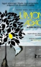 Limon Ağacı Lemon Tree