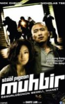 Muhbir The Stool Pigeon Dubnlaj