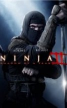 Ninja Shadow of a Tear