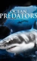 Ocean Predators