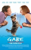 Sevimli Köpek Gabe Gabe the Cupid Dog